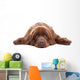 Brown Newfoundland Dog Isolated on White Background Wall Decal