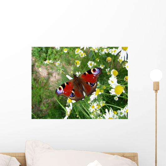 The Peacock Wall Mural