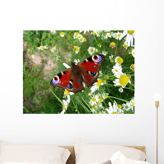 The Peacock Wall Mural