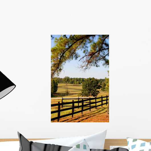 Pasture Fence