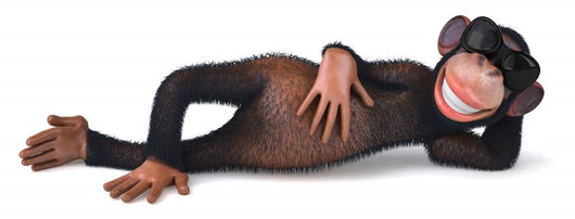 Cool Monkey Wall Decal