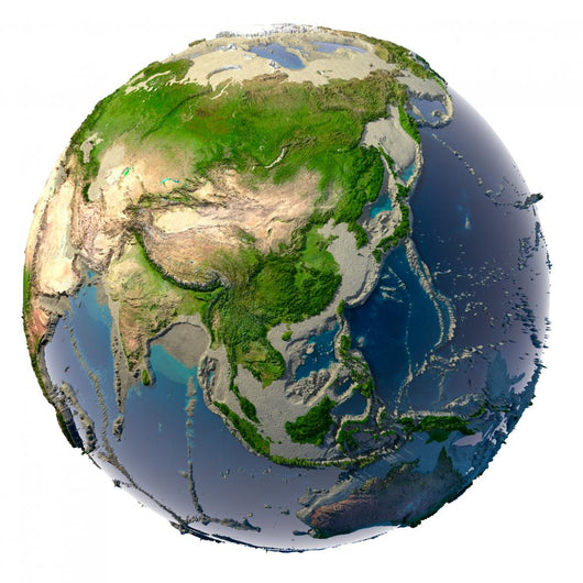 Ecological Catastrophe Earth Wall Decal