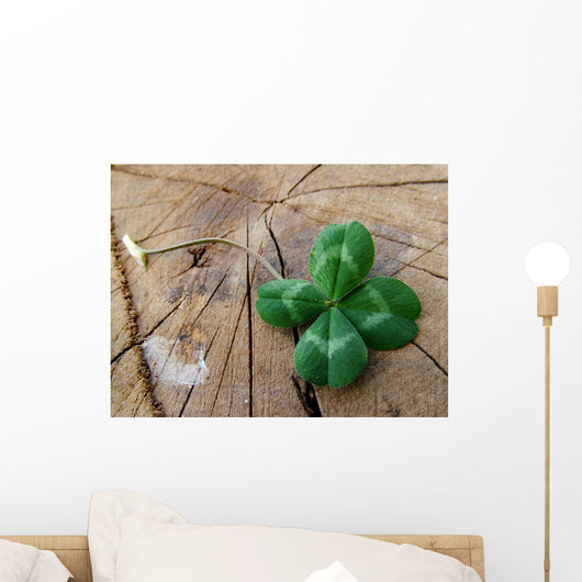 Luck Wall Mural
