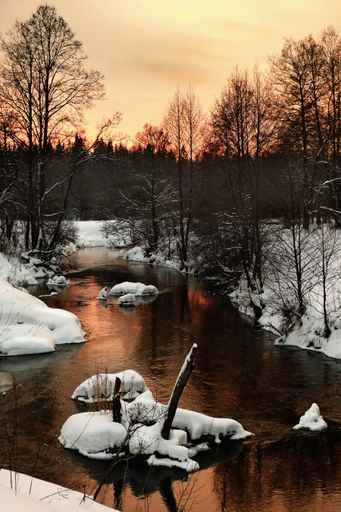 Sunset Wood Winter River Wall Decal