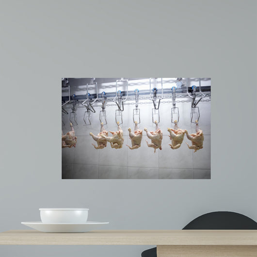 Poultry Processing Meat Food Industry Wall Mural