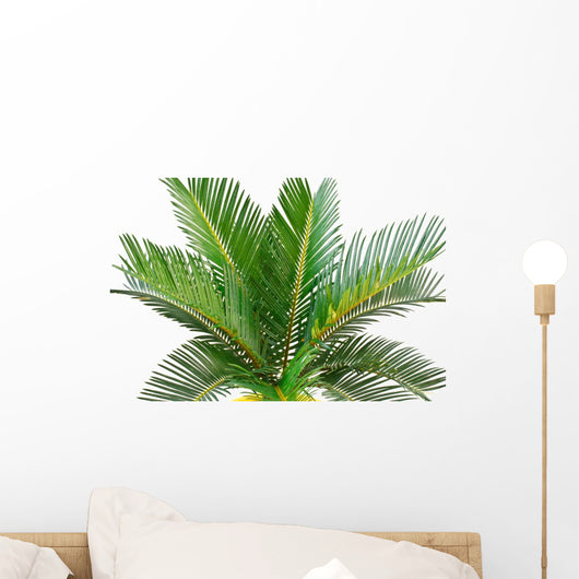 sago palm Wall Decal