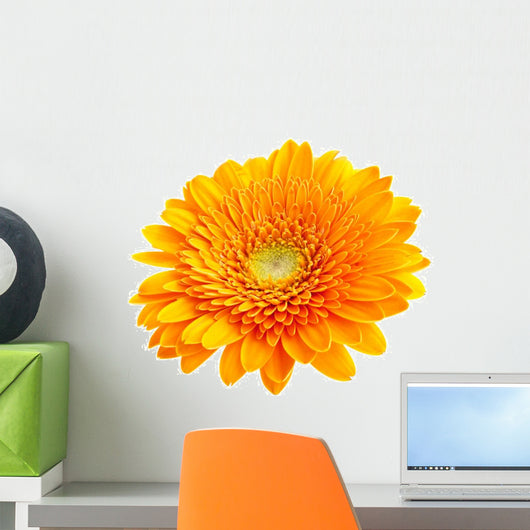 Perfect Orange Gerbera