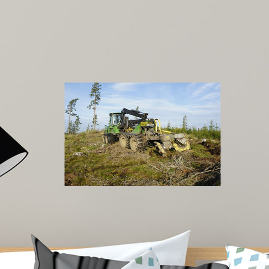 Forest Clearing with Giant