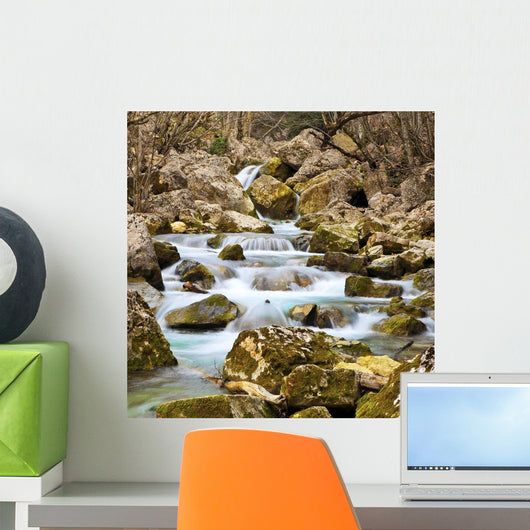 Autumn Stream Wall Mural