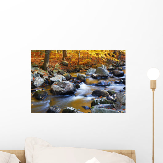 Autumn Creek Woods