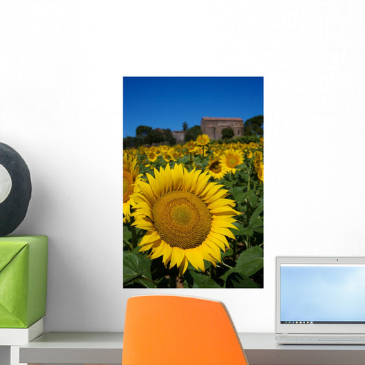 Il Girasole
