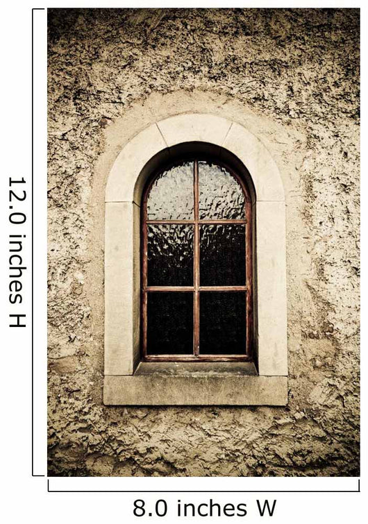 Window Wall Mural