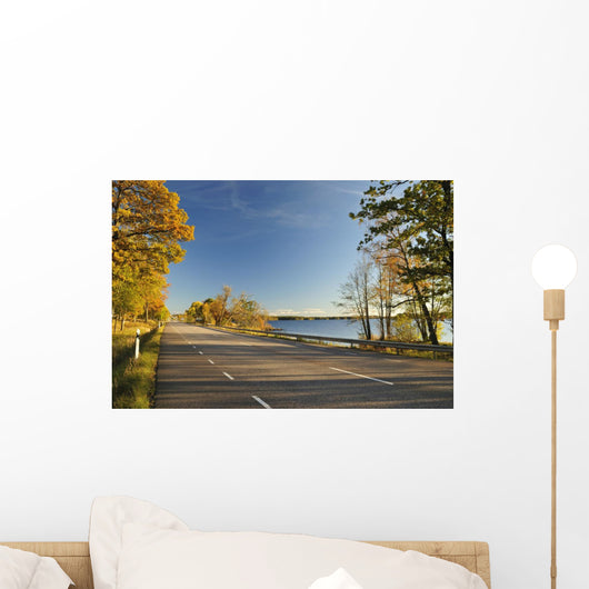 Scenic Autumn Road