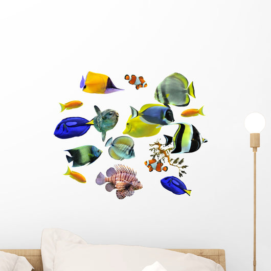 Groupe Poissons D'eau Mer
