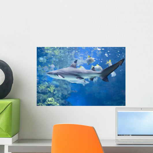 Big Shark in Water Wall Mural