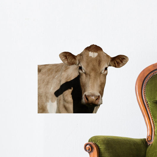 A Jersey Cow Wall Decal