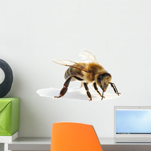 Close-Up Honey Bee Wall Decal
