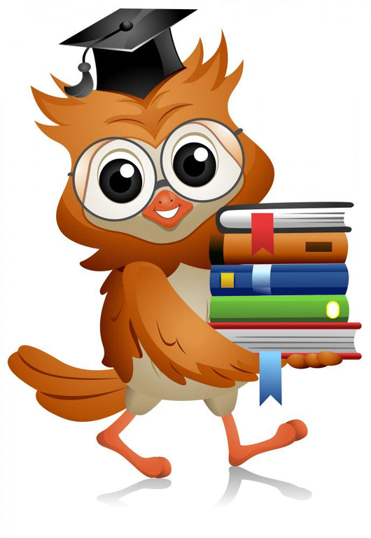 Owl Books Wall Decal