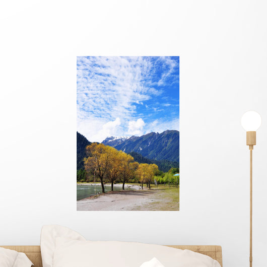 3 Wall Decal