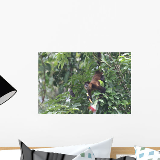 Howler Monkey Wall Mural