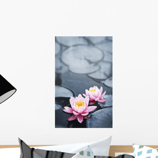Lotus Blossoms