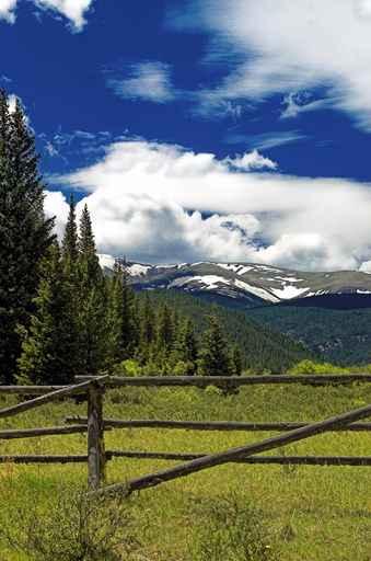Colorado Mountain Pasture Wall Decal