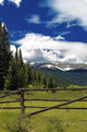 Colorado Mountain Pasture Wall Decal