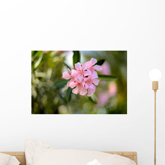 Nerium Oleander Wall Mural