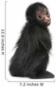 Red-faced Spider Monkey, Ateles paniscus, 3 months old Wall Decal