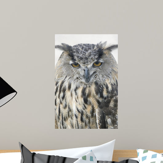 Eagle Owl Wall Mural
