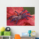 Purple Tarantula