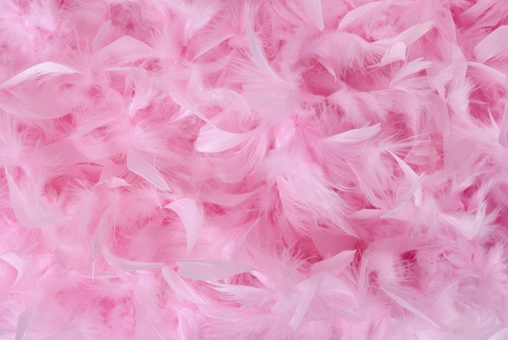 Small Pink Feathers Pile – Wallmonkeys
