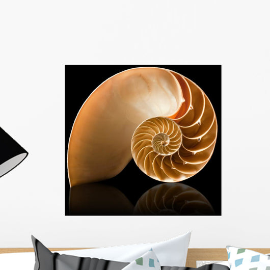 Nautilus shell Wall Mural