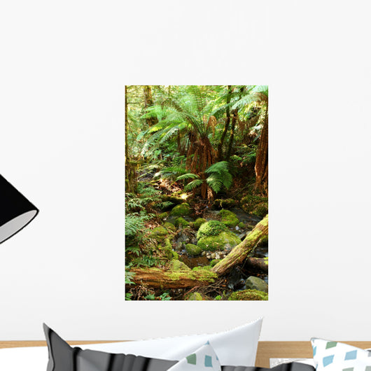 Rainforest Respite