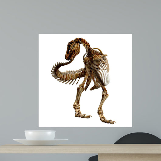Trex Bones 06 Wall Decal