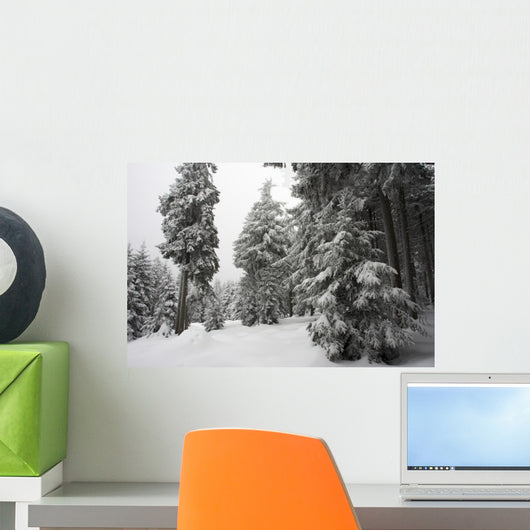 Winterlandschaft