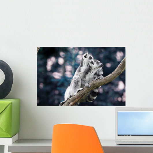 Lemur Wall Mural