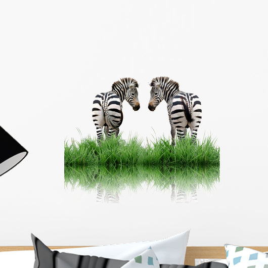 Zebra With Green Grass Isolated Wall Decal