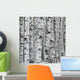 Winter Birch Tree Forest Background Wall Mural