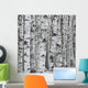 Winter Birch Tree Forest Background Wall Mural