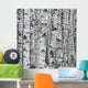 Winter Birch Tree Forest Background Wall Mural