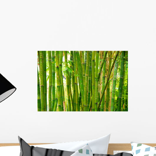 bamboo stalks Wall Mural