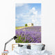 chapel with lavender field, Plateau de Valensole, Provence, Fran Wall Mural