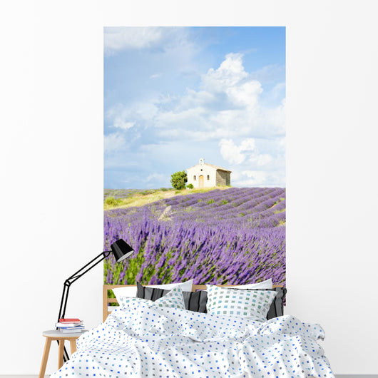 chapel with lavender field, Plateau de Valensole, Provence, Fran Wall Mural