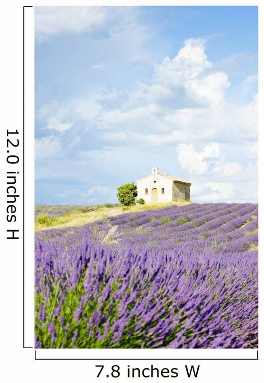 chapel with lavender field, Plateau de Valensole, Provence, Fran Wall Mural