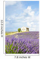 chapel with lavender field, Plateau de Valensole, Provence, Fran Wall Mural