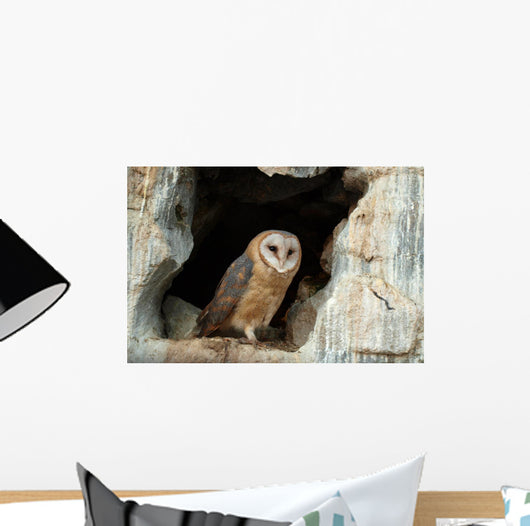 Wise Owl