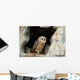 Wise Owl