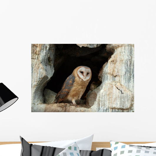 Wise Owl