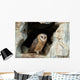 Wise Owl